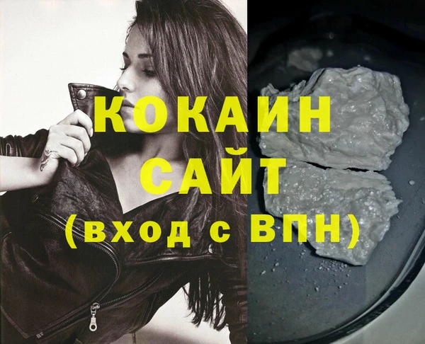 индика Аркадак
