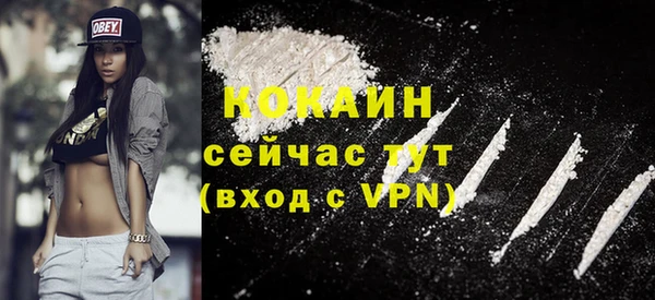 индика Аркадак