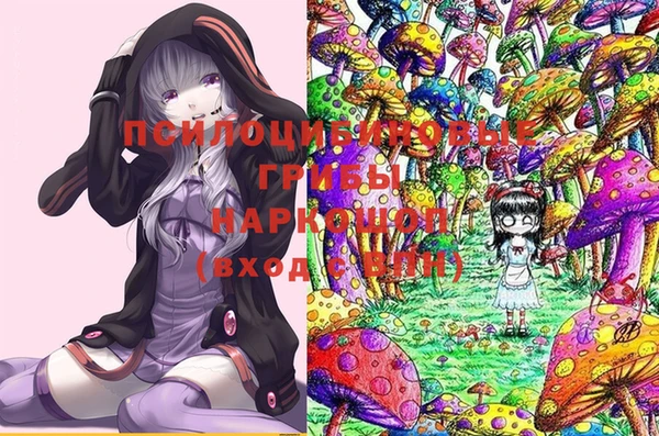 прущий лед Губаха