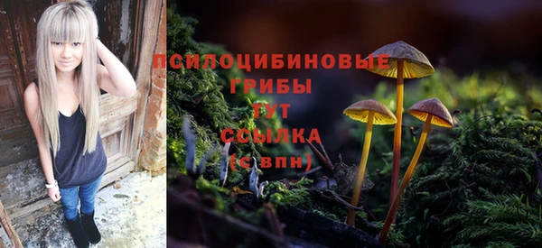 бошки Арсеньев