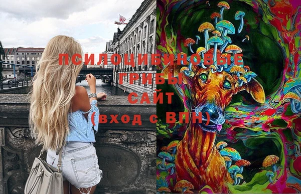 индика Аркадак
