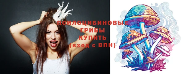 индика Аркадак