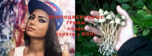 гашик Липки