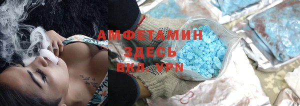 индика Аркадак