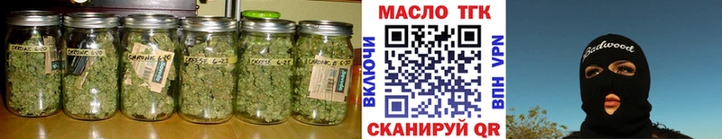 закладки  Лесной  ТГК концентрат 