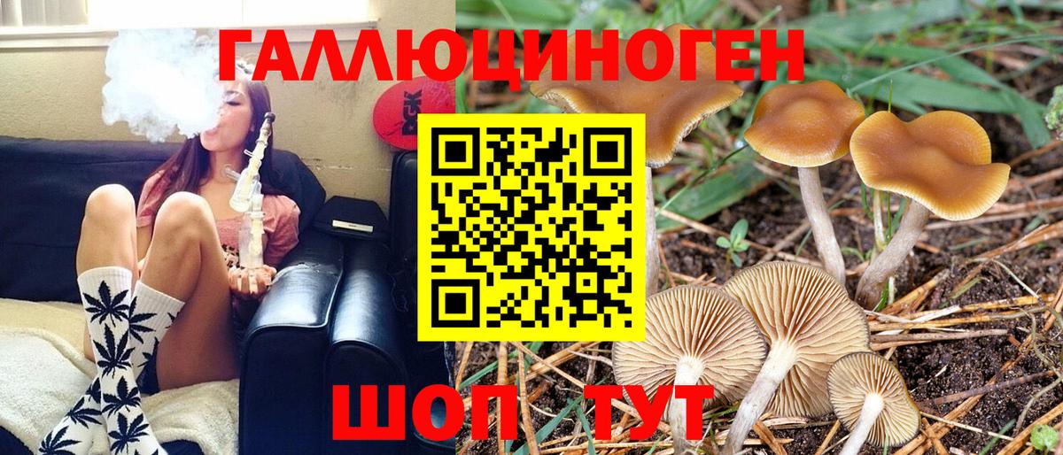 Псилоцибиновые грибы мицелий Лесной