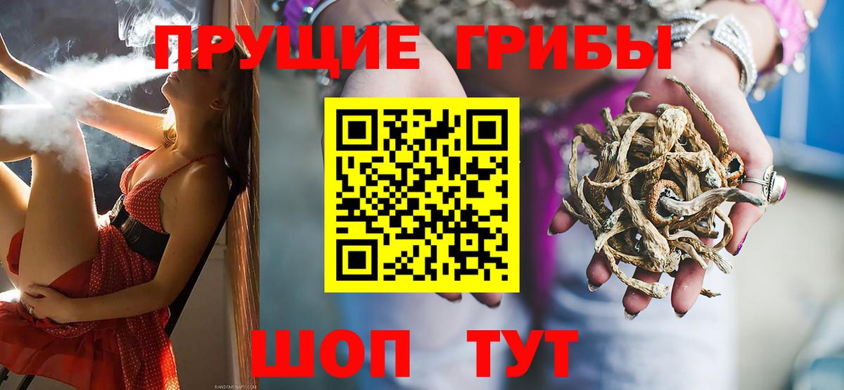 где можно купить   Псилоцибиновые грибы MAGIC MUSHROOMS  Лесной  Галлюциногенные грибы мицелий 