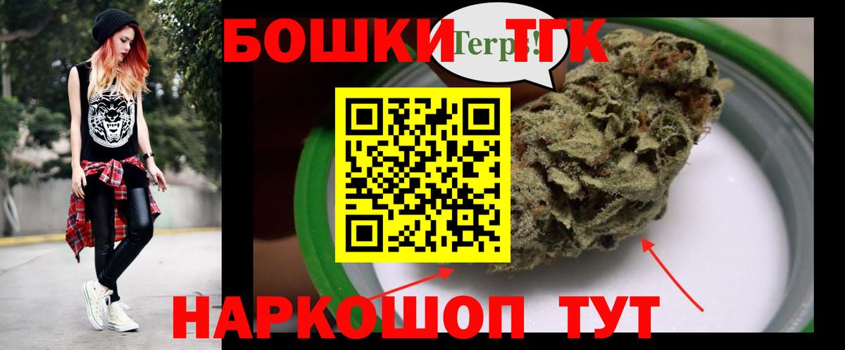 Конопля планчик Лесной